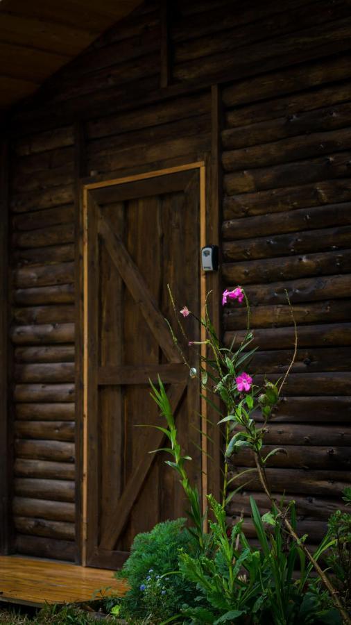 הוילה Estrella Finca Las Huellas: Cabana Acogedora En La Montana מראה חיצוני תמונה